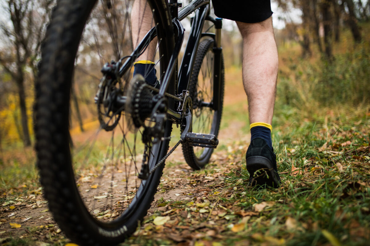 Foot on pedal of bicycle in park, disc brakes (freepik photo)